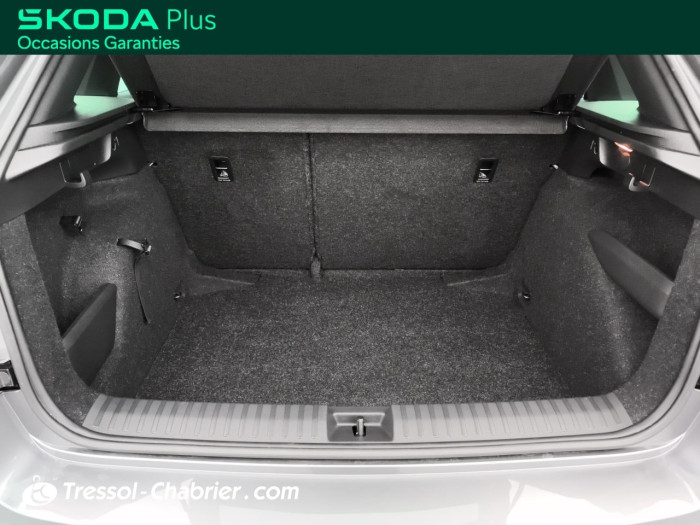 Skoda KAMIQ 1.0 TSI Evo 110 ch DSG7 Monte-Carlo