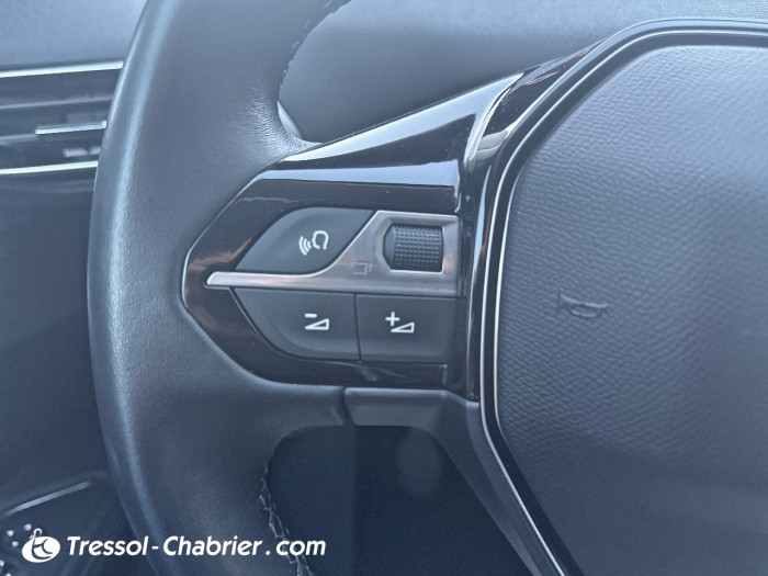 Peugeot 3008 BlueHDi 130ch S&S BVM6 Allure Pack
