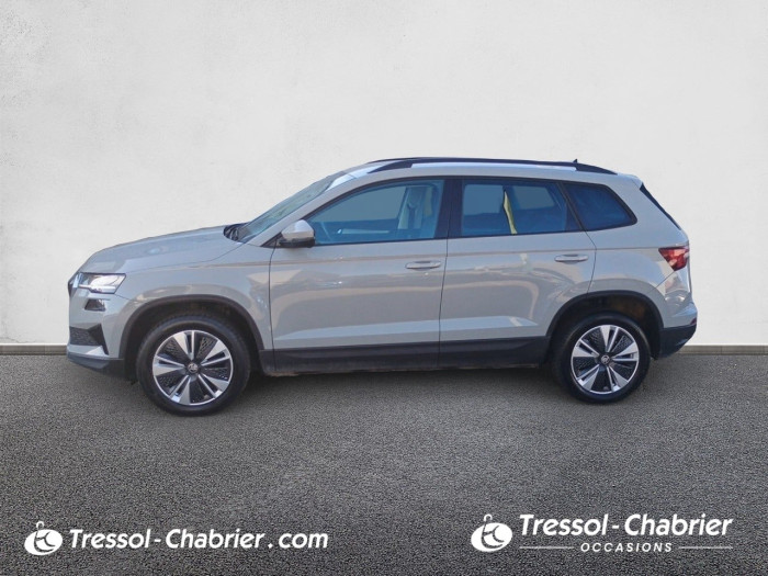 Skoda Karoq 2.0 TDI 116 ch SCR DSG7 Style