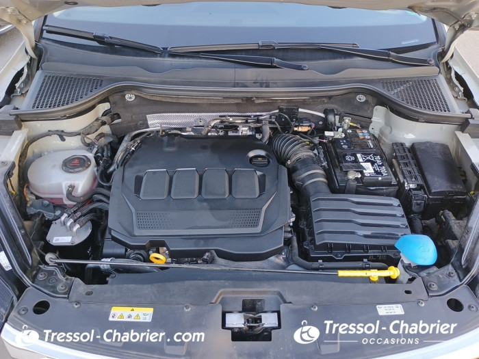 Skoda Karoq 2.0 TDI 116 ch SCR DSG7 Style
