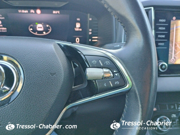 Skoda Karoq 2.0 TDI 116 ch SCR DSG7 Style