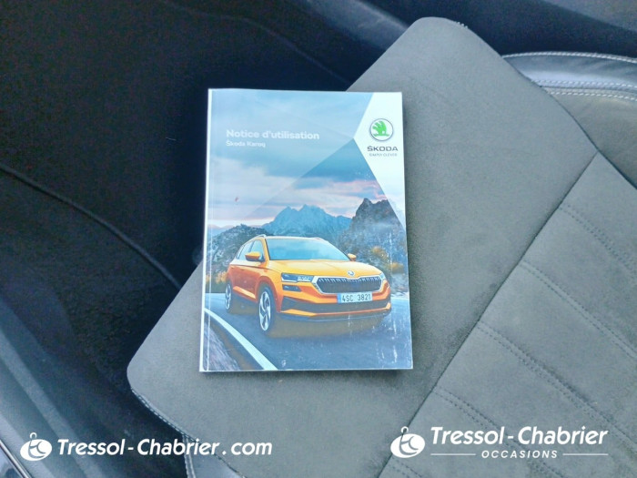 Skoda Karoq 2.0 TDI 116 ch SCR DSG7 Style
