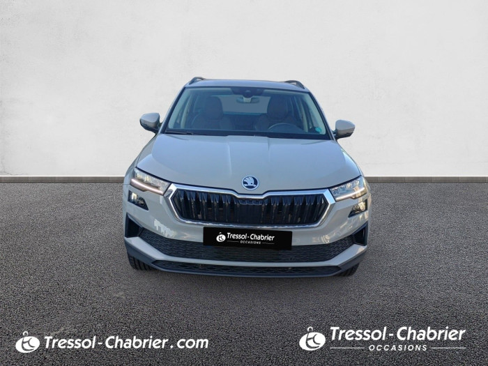 Skoda Karoq 2.0 TDI 116 ch SCR DSG7 Style