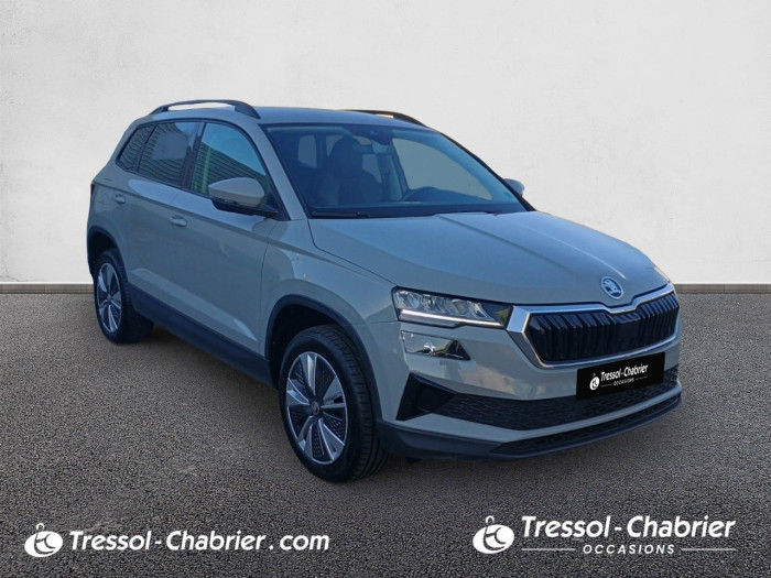 Skoda Karoq 2.0 TDI 116 ch SCR DSG7 Style