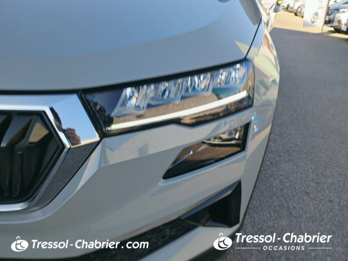 Skoda Karoq 2.0 TDI 116 ch SCR DSG7 Style