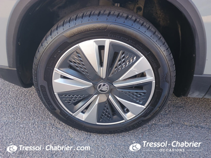 Skoda Karoq 2.0 TDI 116 ch SCR DSG7 Style