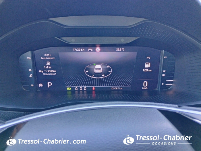 Skoda Karoq 2.0 TDI 116 ch SCR DSG7 Style