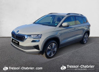 Skoda Karoq 2.0 TDI 116 ch SCR DSG7 Style