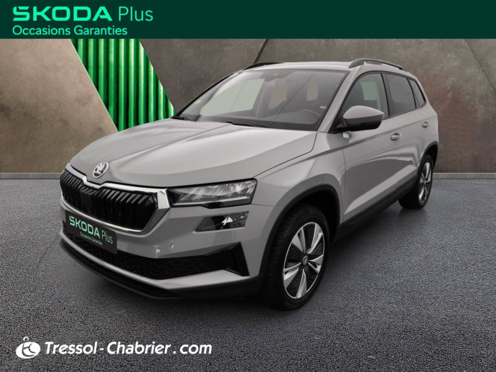 Skoda Karoq 2.0 TDI 116 ch SCR DSG7 Business