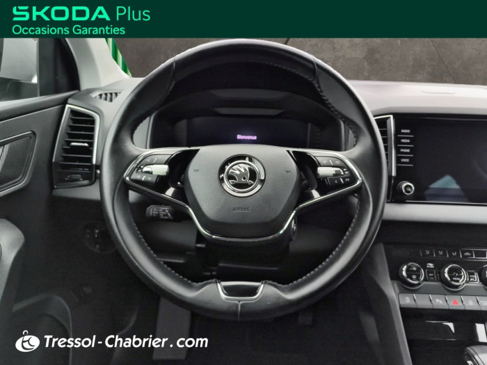 Skoda Karoq 2.0 TDI 116 ch SCR DSG7 Business