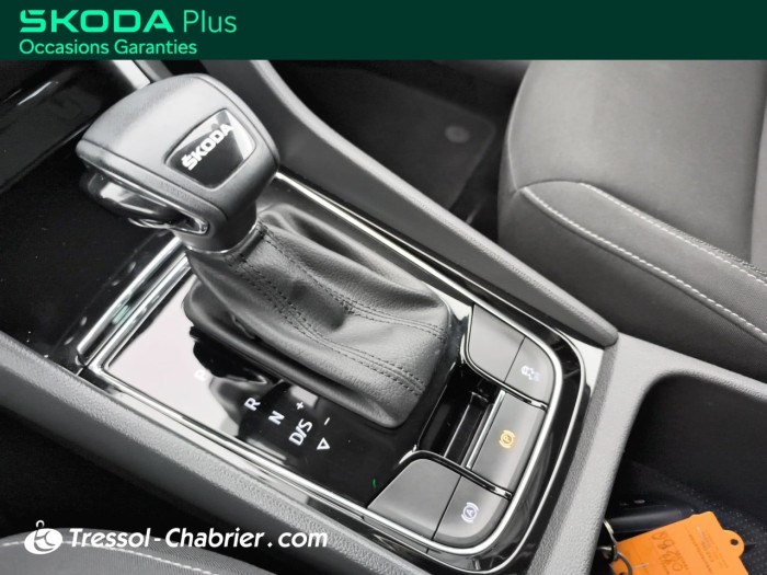 Skoda Karoq 2.0 TDI 116 ch SCR DSG7 Business