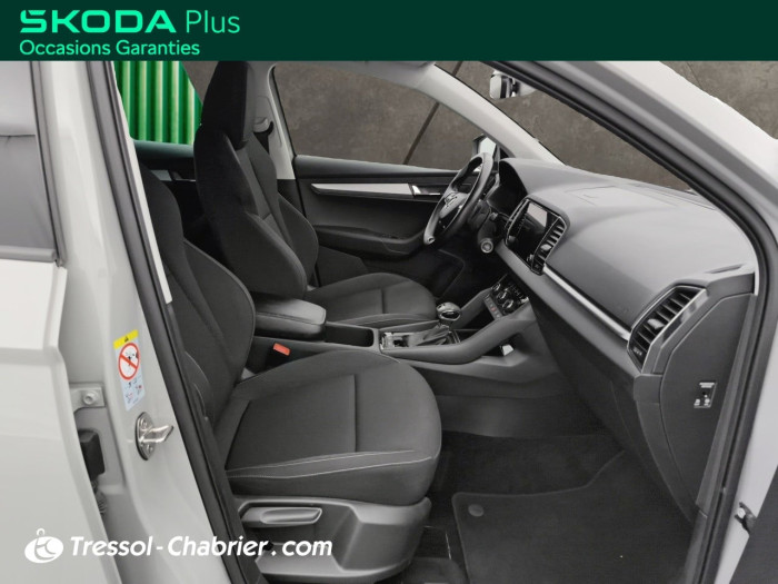 Skoda Karoq 2.0 TDI 116 ch SCR DSG7 Business