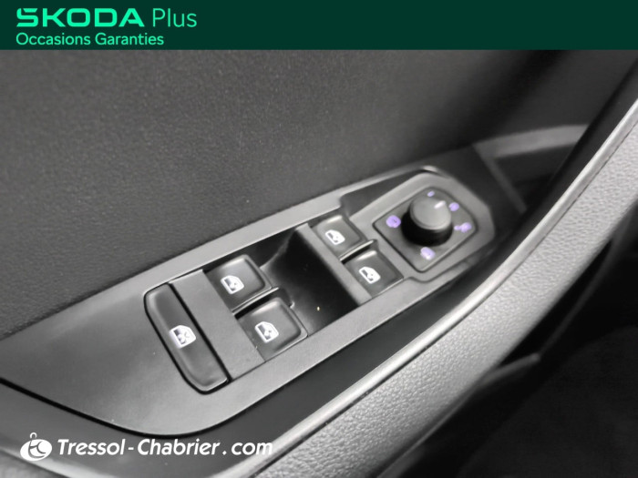 Skoda Karoq 2.0 TDI 116 ch SCR DSG7 Business