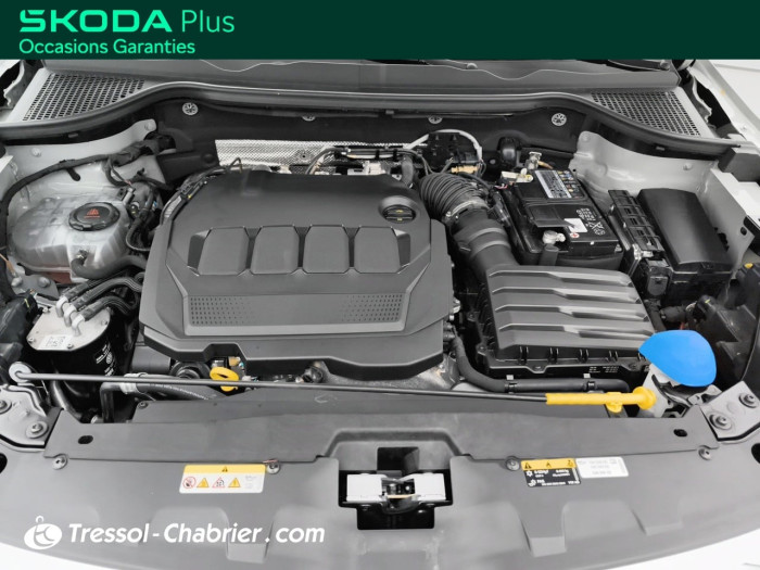 Skoda Karoq 2.0 TDI 116 ch SCR DSG7 Business