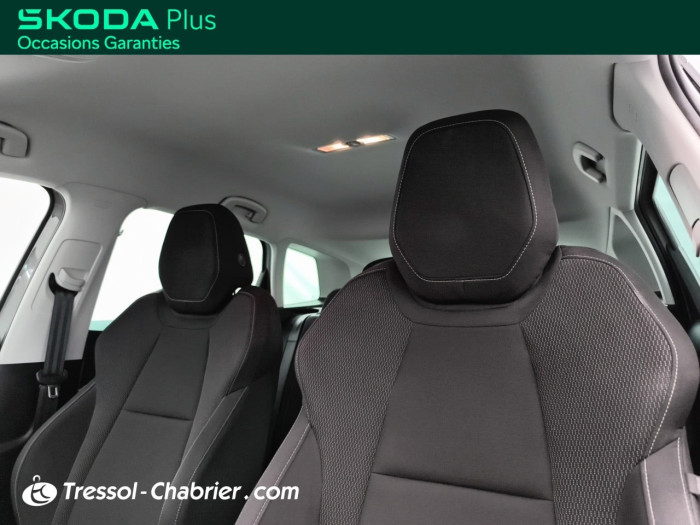 Skoda Karoq 2.0 TDI 116 ch SCR DSG7 Business
