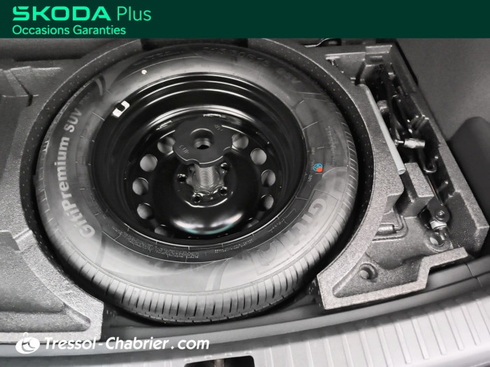 Skoda Karoq 2.0 TDI 116 ch SCR DSG7 Business
