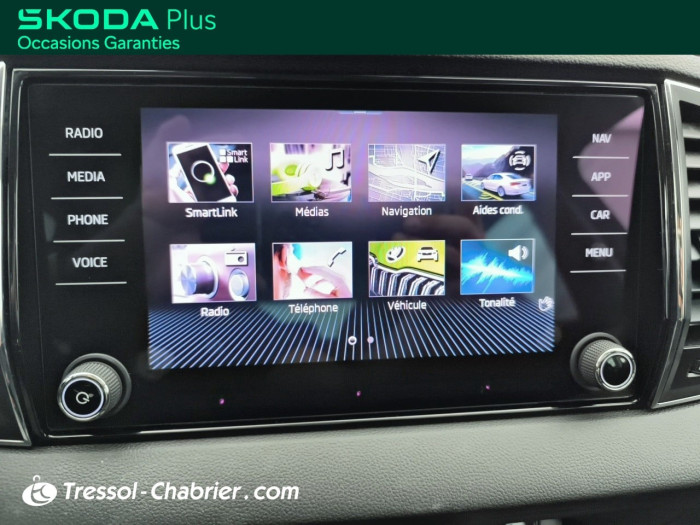 Skoda Karoq 2.0 TDI 116 ch SCR DSG7 Business