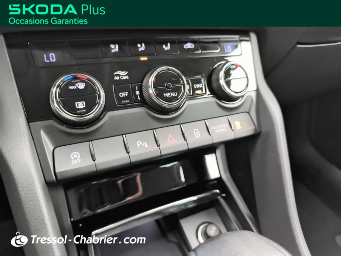 Skoda Karoq 2.0 TDI 116 ch SCR DSG7 Business