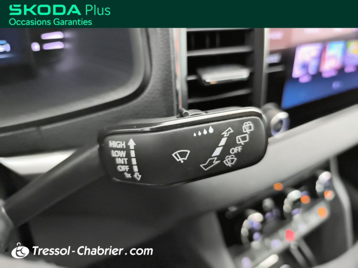 Skoda Karoq 2.0 TDI 116 ch SCR DSG7 Business