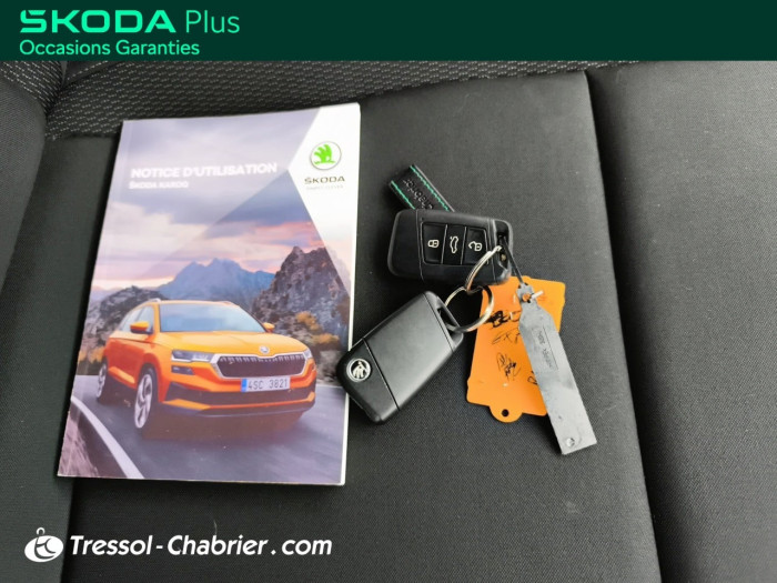 Skoda Karoq 2.0 TDI 116 ch SCR DSG7 Business