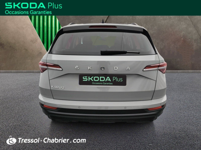 Skoda Karoq 2.0 TDI 116 ch SCR DSG7 Business