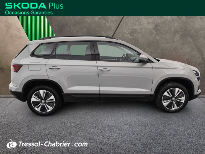 Skoda Karoq 2.0 TDI 116 ch SCR DSG7 Business