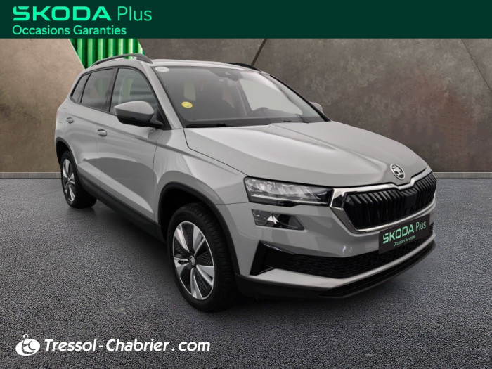 Skoda Karoq 2.0 TDI 116 ch SCR DSG7 Business
