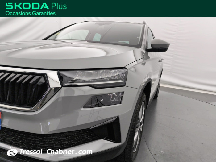 Skoda Karoq 2.0 TDI 116 ch SCR DSG7 Business