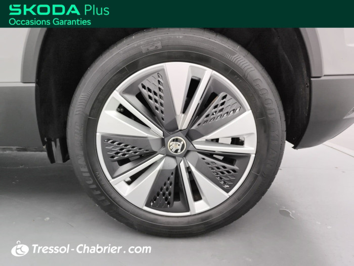 Skoda Karoq 2.0 TDI 116 ch SCR DSG7 Business