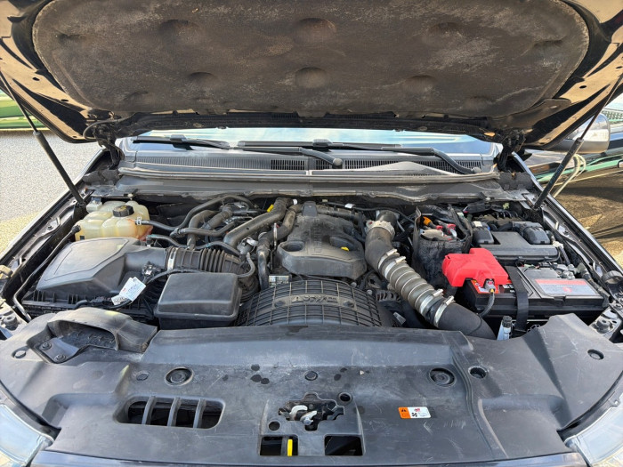 Ford RANGER DOUBLE CABINE 2.0 ECOBLUE 213 BV10 WILDTRAK