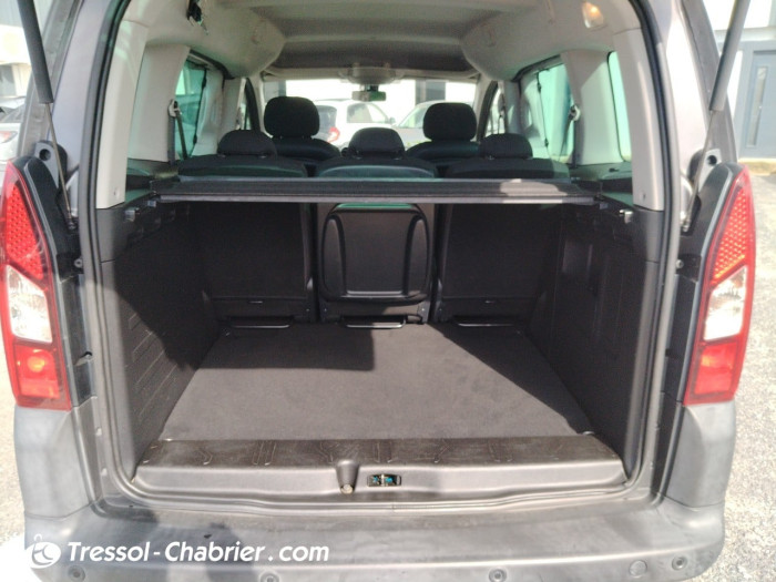 Citroën BERLINGO MULTISPACE BlueHDi 100 BVM5 Feel