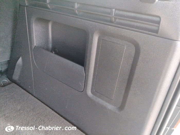 Citroën BERLINGO MULTISPACE BlueHDi 100 BVM5 Feel