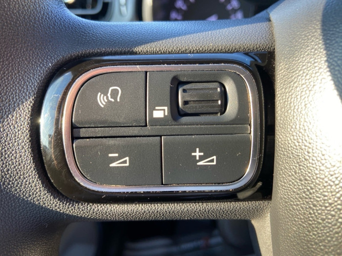 Citroën C3 BlueHDi 100 ch BVM6 Plus