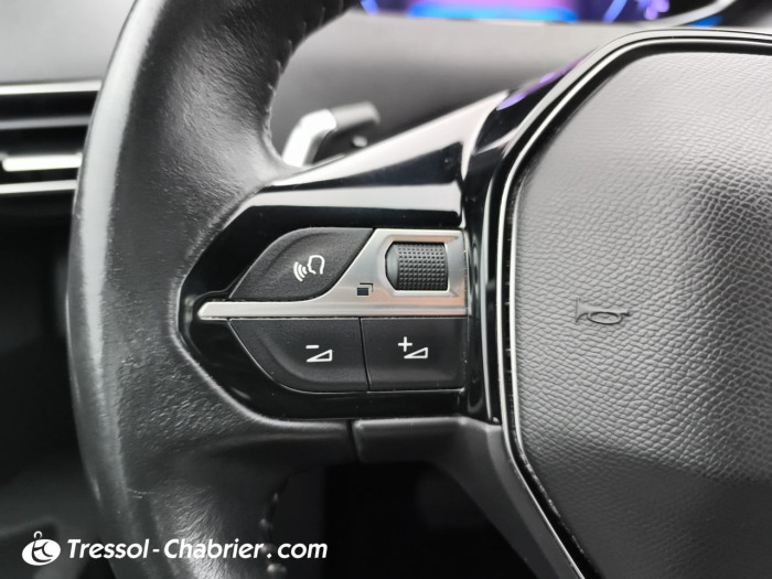 Peugeot 3008 BlueHDi 130ch S&S EAT8 GT