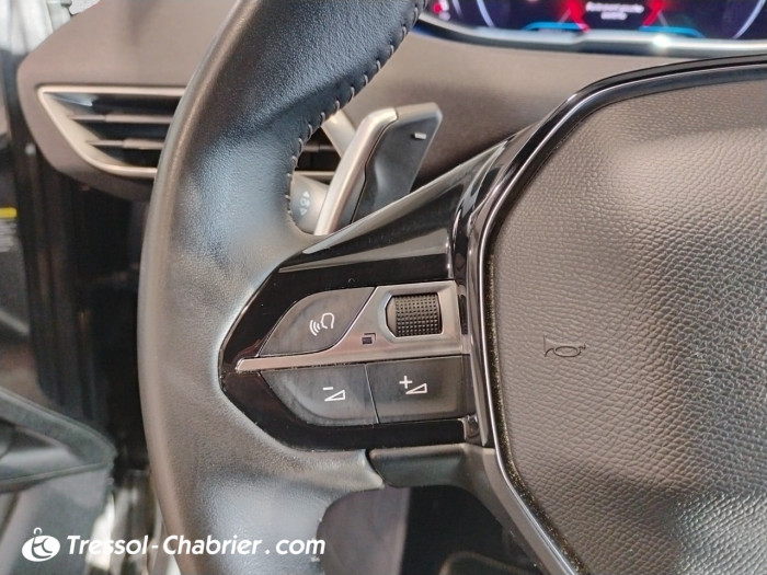 Peugeot 3008 BlueHDi 130ch S&S EAT8 GT