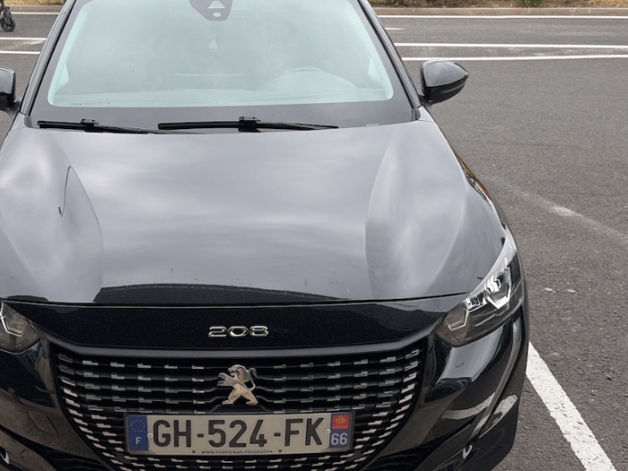 Peugeot 208 PureTech 100 S&S BVM6 Style