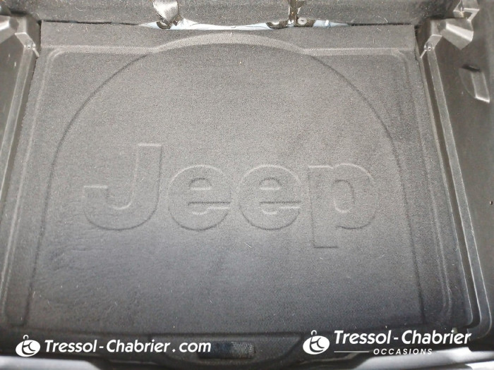 Jeep Renegade 1.6 l MultiJet 120 ch BVM6 Limited