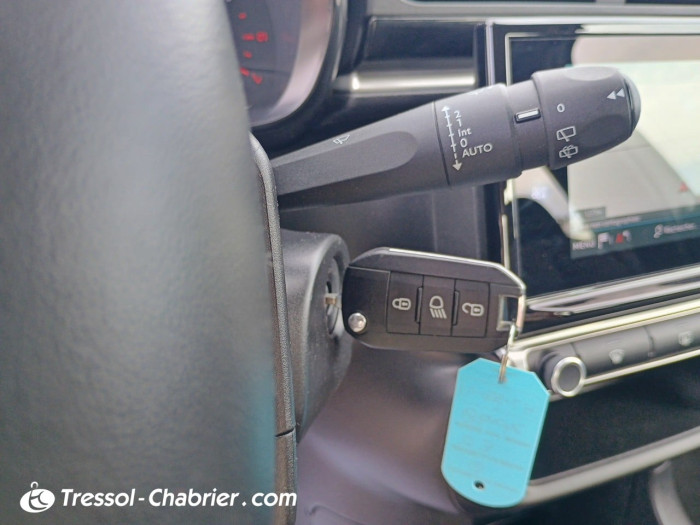 Citroën C3 BUSINESS BlueHDi 100 S&S BVM Shine Business