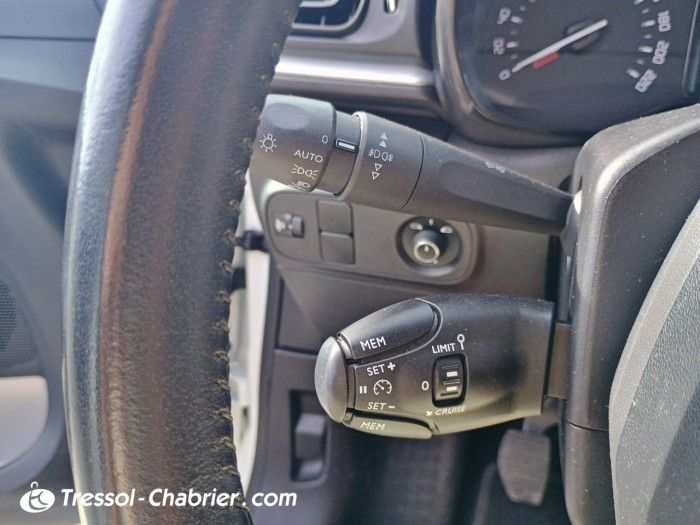 Citroën C3 BUSINESS BlueHDi 100 S&S BVM Shine Business
