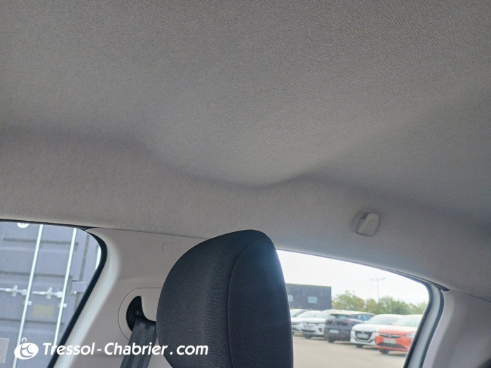 Citroën C3 BUSINESS BlueHDi 100 S&S BVM Shine Business