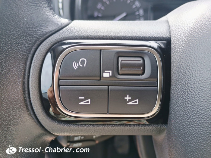 Citroën C3 BUSINESS BlueHDi 100 S&S BVM Shine Business