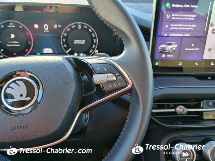 Skoda Kodiaq 2.0 TDI 150 ch SCR DSG7 7pl Selection