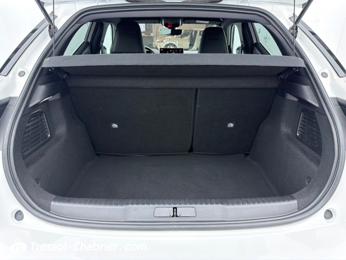 DS DS 3 CROSSBACK BUSINESS PureTech 130 S&S EAT8 Business