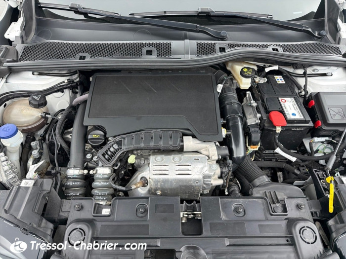 DS DS 3 CROSSBACK BUSINESS PureTech 130 S&S EAT8 Business