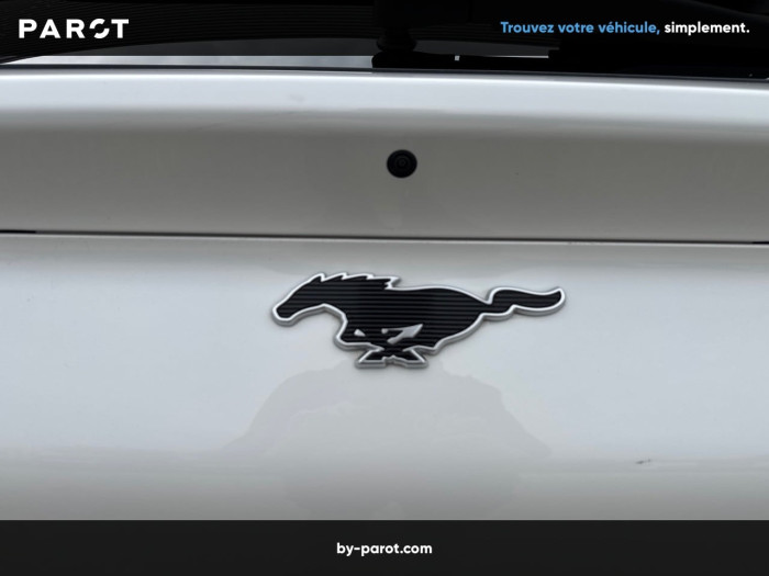Ford Mustang Mach-E Extended Range 91 kWh 487 ch AWD GT Rally