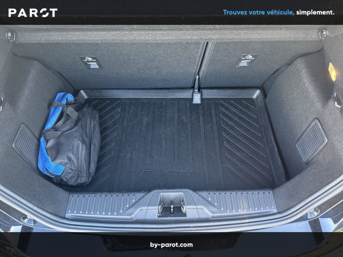 Ford Fiesta 1.0 Flexifuel 95 ch S&S BVM6 Titanium Business