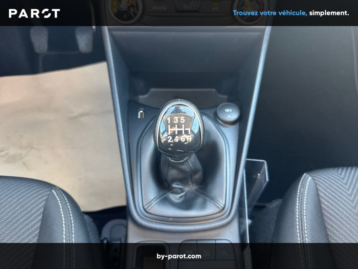Ford Fiesta 1.0 Flexifuel 95 ch S&S BVM6 Titanium Business